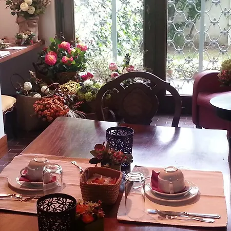 Casa Calicantus Bed & Breakfast